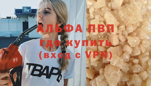 apvp Краснослободск