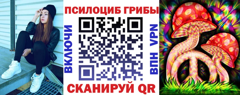 hydra вход  купить закладку  Северодвинск  Галлюциногенные грибы прущие грибы 